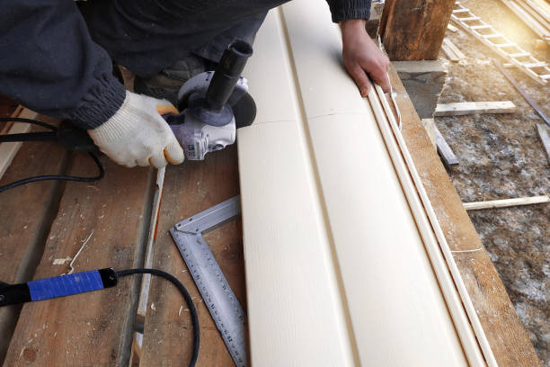 Best Custom Trim and Detailing for Siding  in Greenville, MS