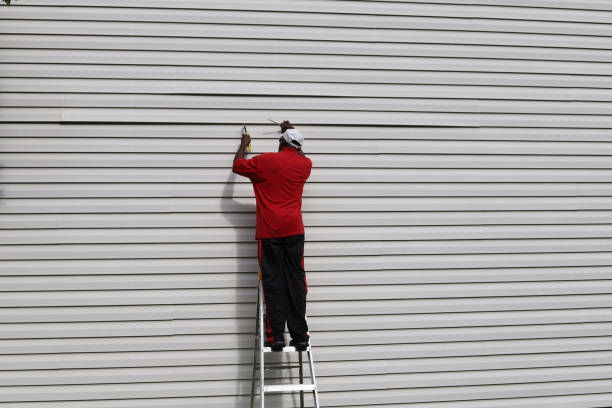 Affordable Siding Repair and Maintenance Services in Greenville, MS